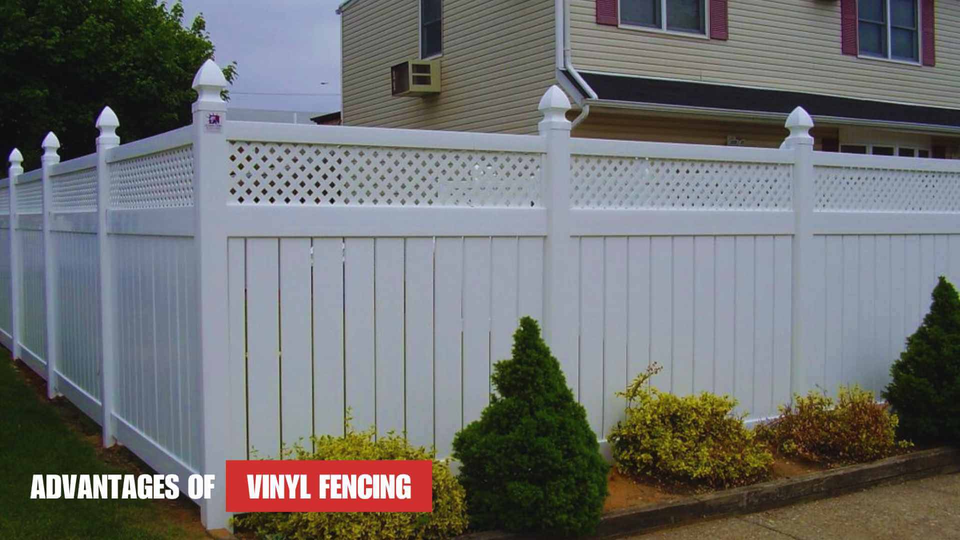 Fence Wars: Wood vs. Vinyl – Which Side Are You On?