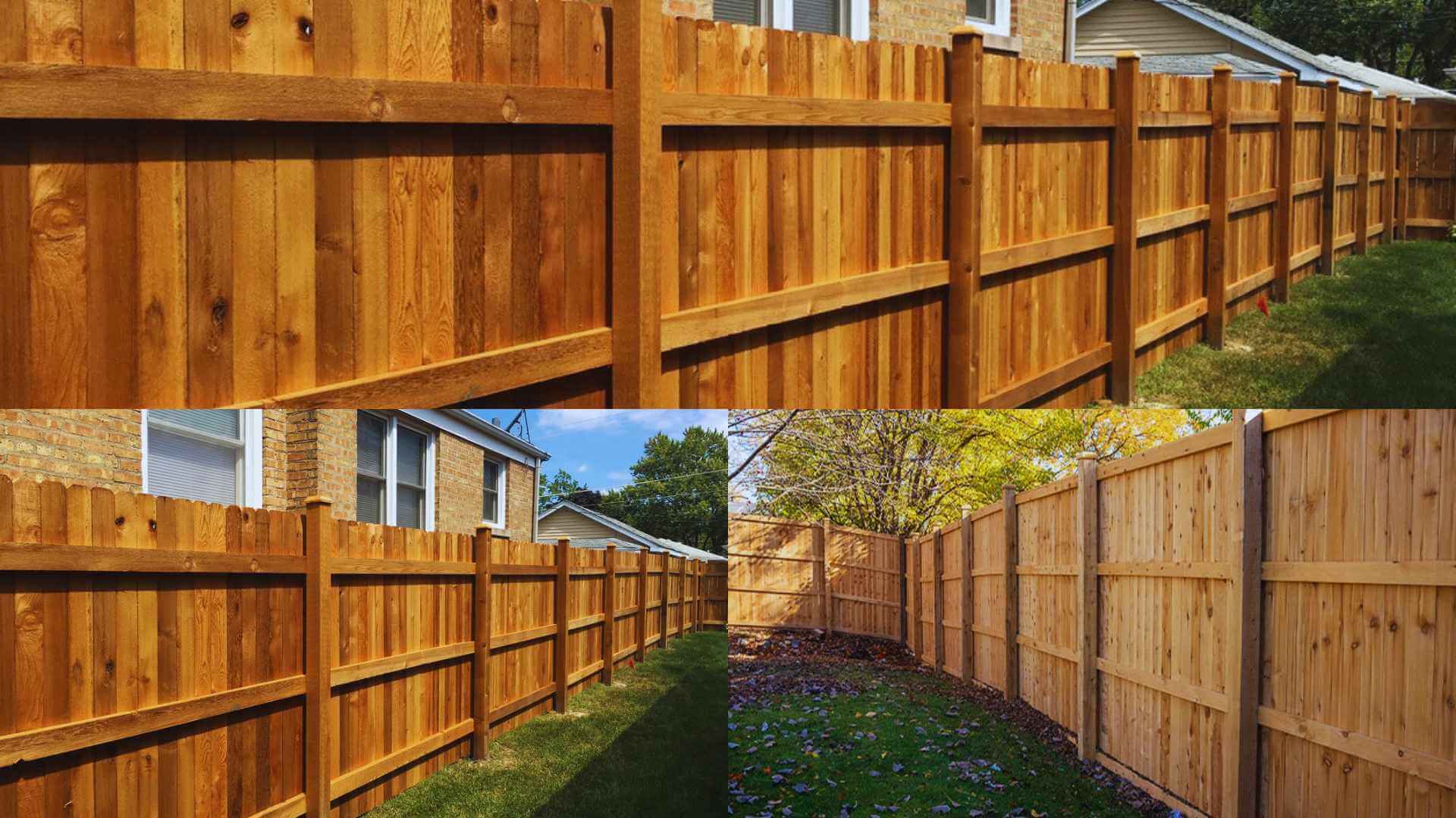 From Pine to Cedar: Choosing the Best Wood for Your Fence!