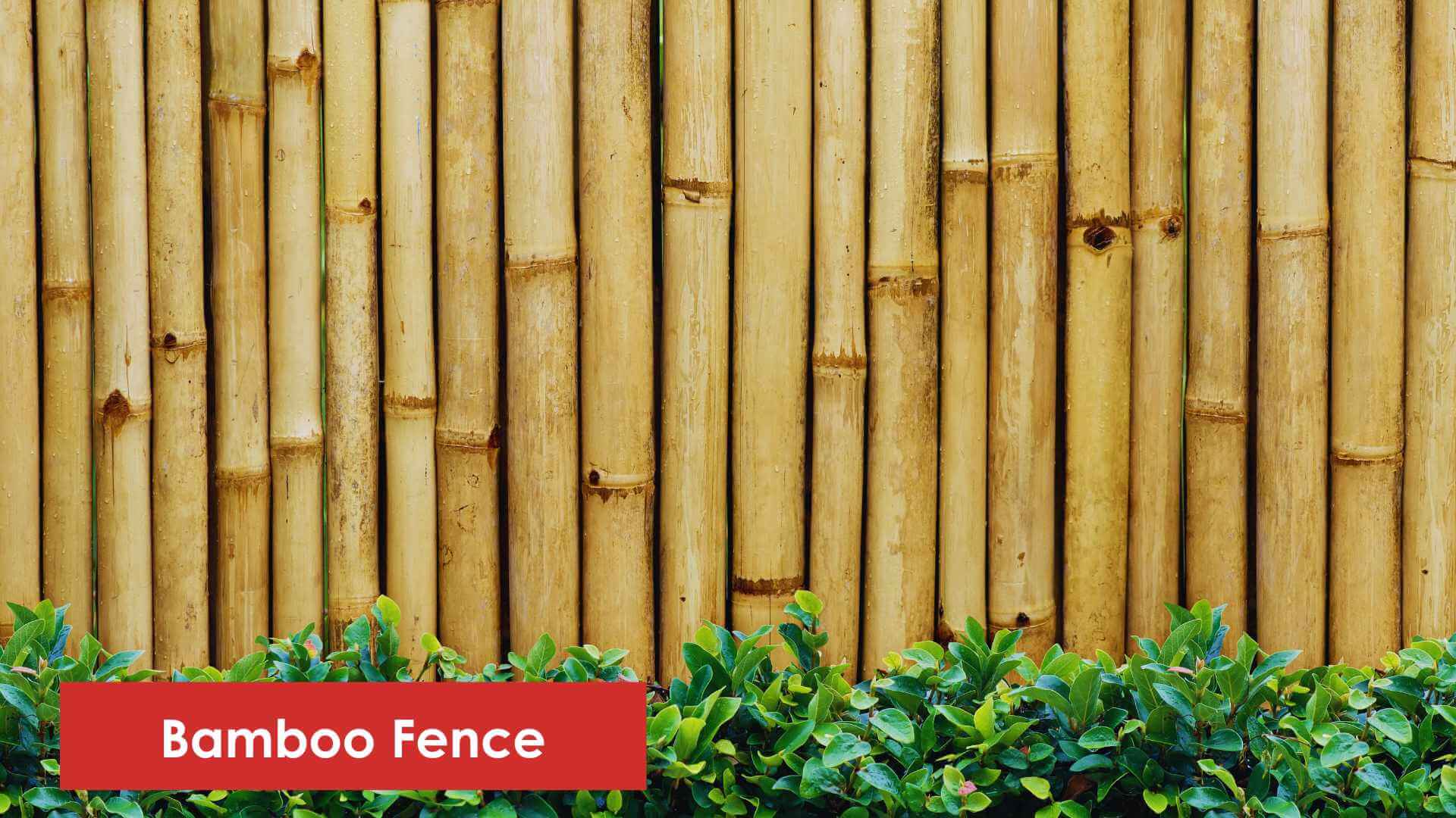 The Top 3 Fence Materials of 2023: You Won't Believe #2!
