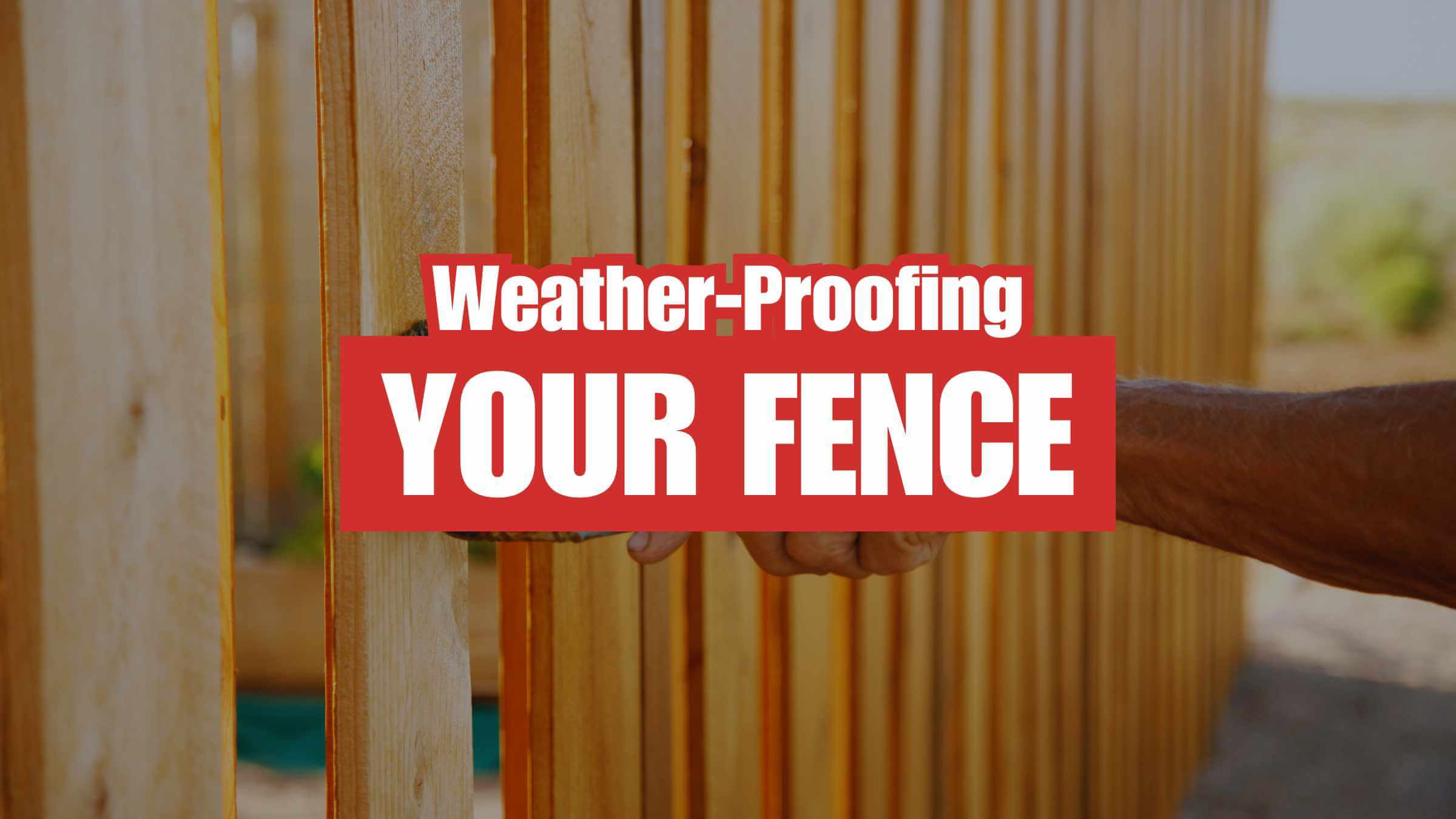 Weather-Proofing Your Fence: Secrets the Experts Don't Want You to Know!